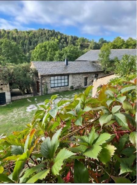 Le Chateau Brangoly (Adults Only) Enveitg Exterior photo
